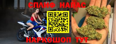 дживик Кандалакша